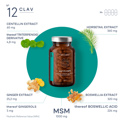 Antiflamm Joint Care Supplement