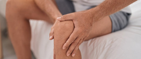 Boswellia and MSM: Natural Pain Relief?