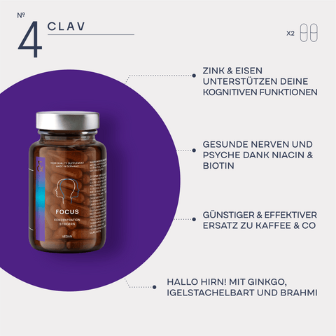 N°4 Focus infographic