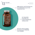 N°13 Colon Complex