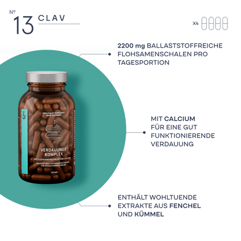 N°13 Colon Complex