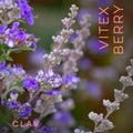 Vitex Berry Chasteberry Extract Supplement